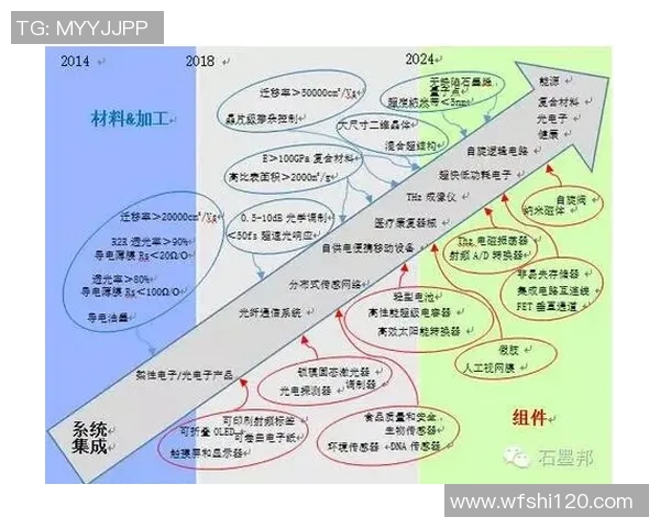 掸联与妙瓦底的对决分析及未来发展趋势探讨